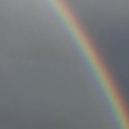 Proche Elysee Homestay